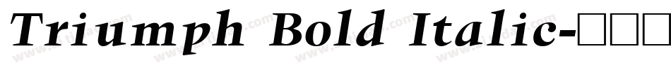 Triumph Bold Italic字体转换